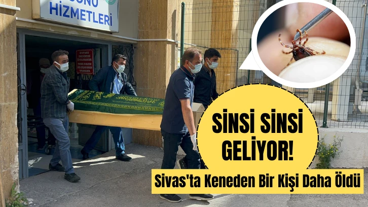 Sivas'ta Keneden Bir Kişi Daha Öldü 
