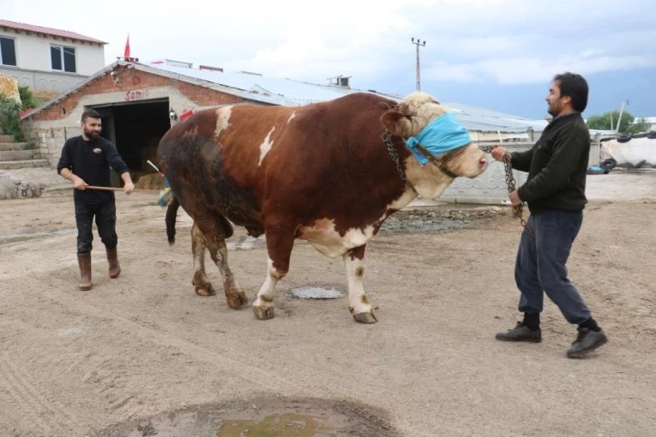 Sivas'ta Kurban Kesim Yerleri Belli Oldu 