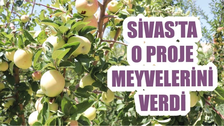 Sivas'ta O Proje Meyvelerini Verdi