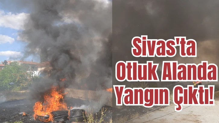 Sivas'ta Otluk Alanda Yangın Çıktı!