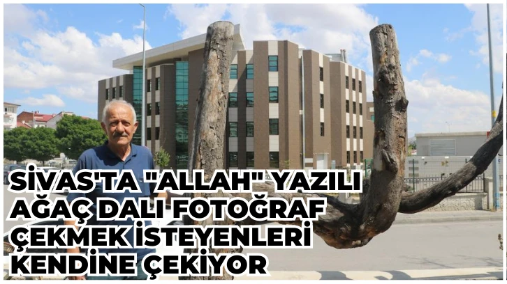 Sivas'ta "Allah" Yazılı Ağaç Dalı Fotoğraf Çekmek İsteyenleri Kendine Çekiyor