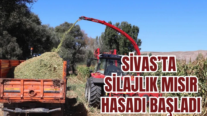 Sivas’ta Silajlık Mısır Hasadı Başladı