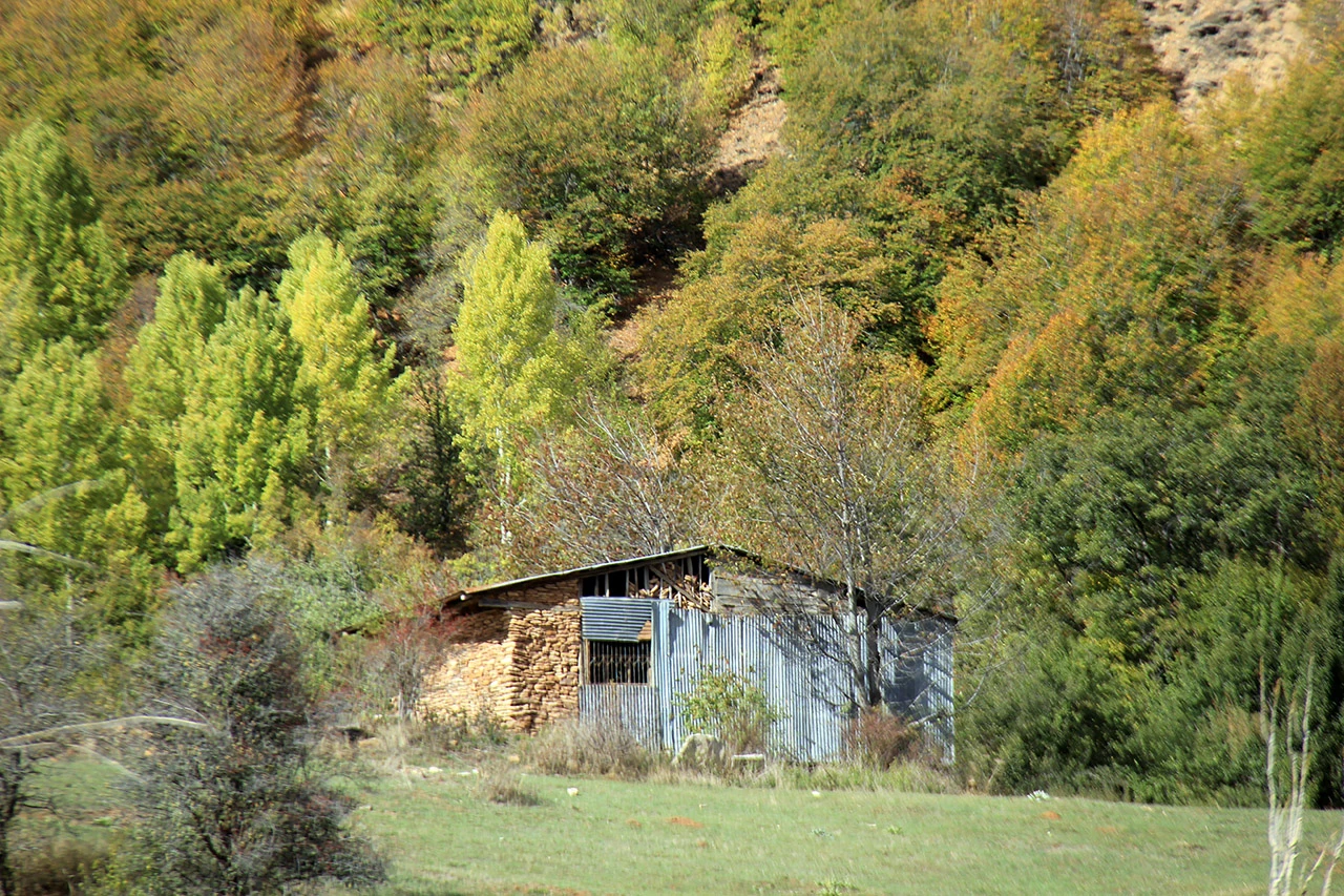 Sivas'ta sonbahar manzaraları