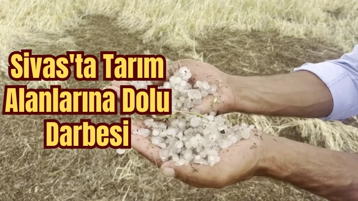 Sivas'ta Tarım Alanlarına Dolu Darbesi