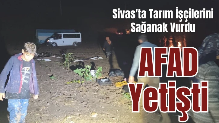 Sivas'ta Tarım İşçilerini Sağanak Vurdu, AFAD Yetişti