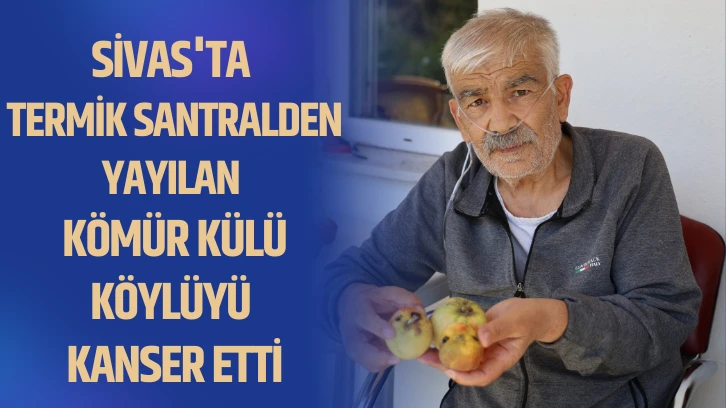 Sivas'ta Termik Santralden Yayılan Kömür Külü Köylüyü Kanser Etti