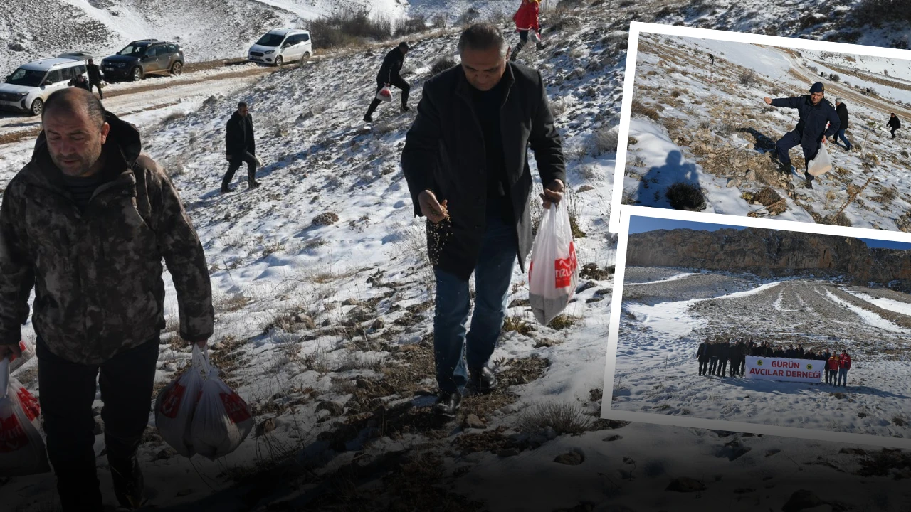 Sivas'ta Yiyecek Bulamayan Hayvanlar Unutulmadı!