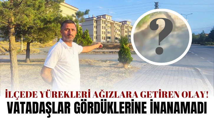 Sivas'ta Yürekleri Ağızlara Getiren Olay!