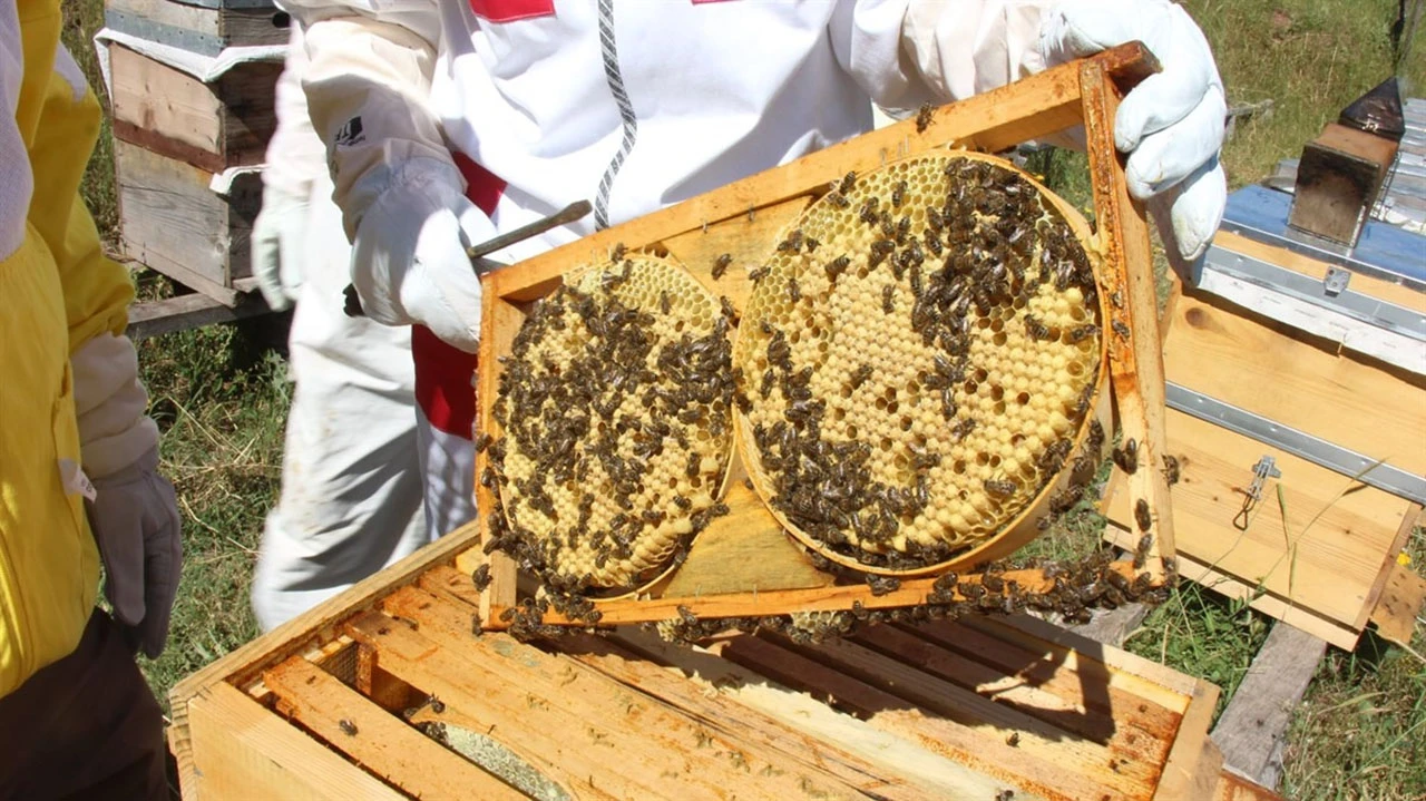 Sivaslı Arıcılar Müjde! Süre Uzatıldı! 