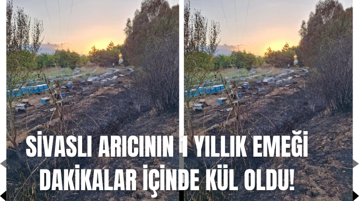 Sivaslı Arıcının 1 Yıllık Emeği Dakikalar İçinde Kül Oldu! 