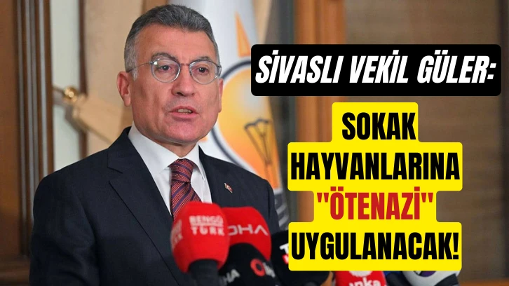 Sivaslı Vekil Sokak Hayvanlarına "Ötenazi" Uygulanacağını Söyledi