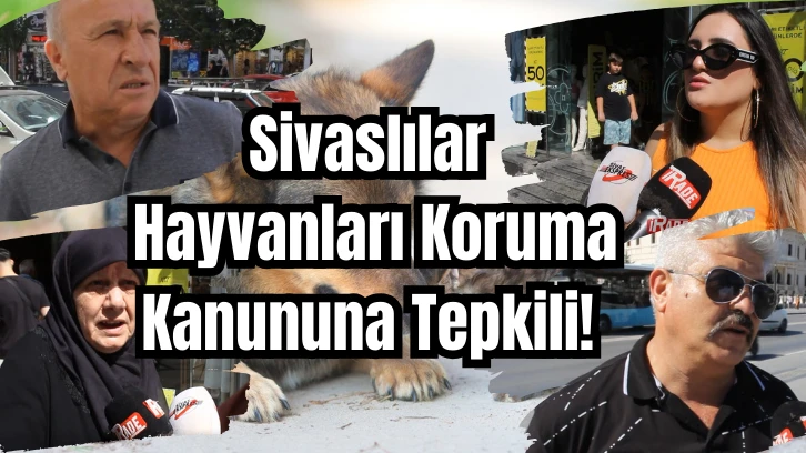 Sivaslılar Hayvanları Koruma Kanununa Tepkili! 