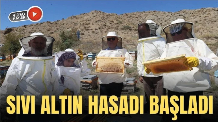 Sıvı Altın Hasadı Başladı