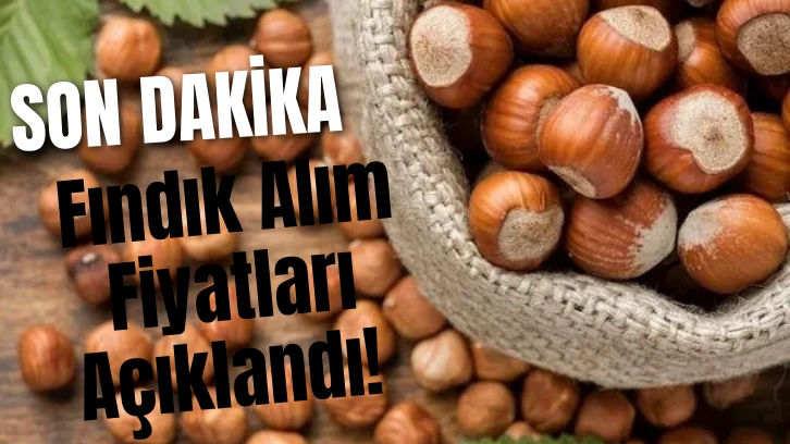 Son Dakika: Fındık Alım Fiyatları Açıklandı! 