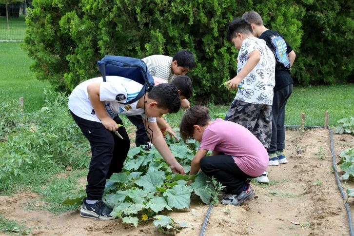 Tabiat Mektebinde Yaz Dönemi Eğitimleri Sürüyor