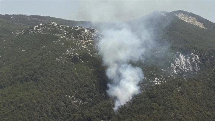 Türkiye'de Yangınla Mücadele Sürüyor! Bakan Yumaklı Rakamları Paylaştı