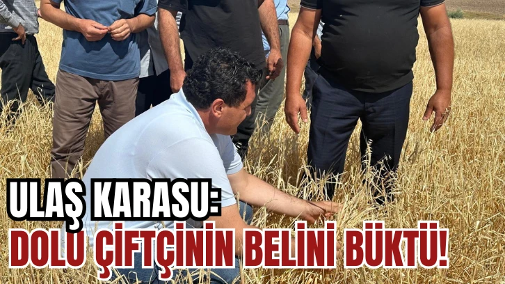 Ulaş Karasu: Dolu, Çiftçinin Belini Büktü!