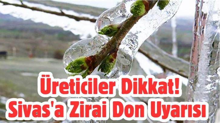 Üreticiler Dikkat! Sivas'a Zirai Don Uyarısı 