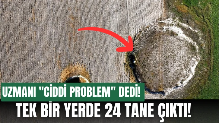 Uzmanı &quot;Ciddi Problem&quot; Dedi! Tek Bir Yerde 24 Tane Çıktı! 