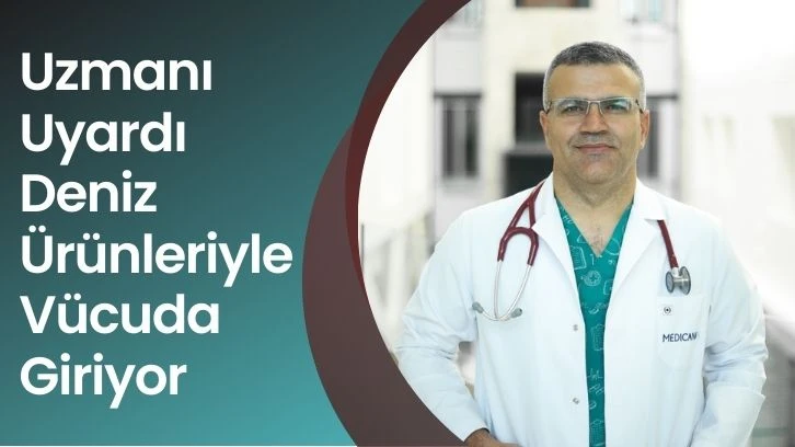 Uzmanı Uyardı Deniz Ürünleriyle Vücuda Giriyor