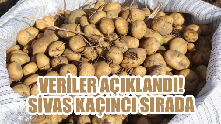 Veriler Açıklandı! Sivas Kaçıncı Sırada 