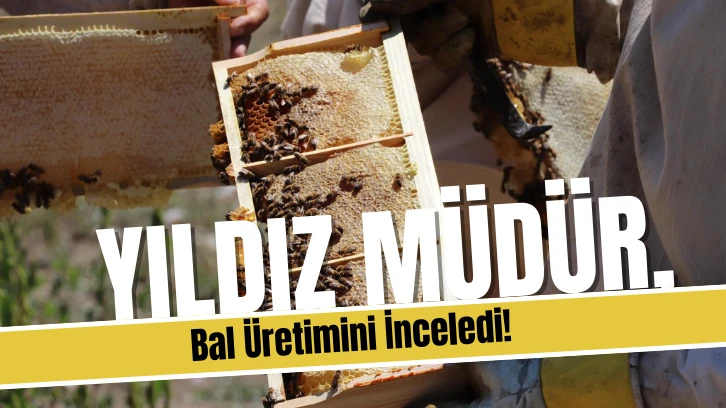 Yıldız Müdür, Bal Üretimini İnceledi! 