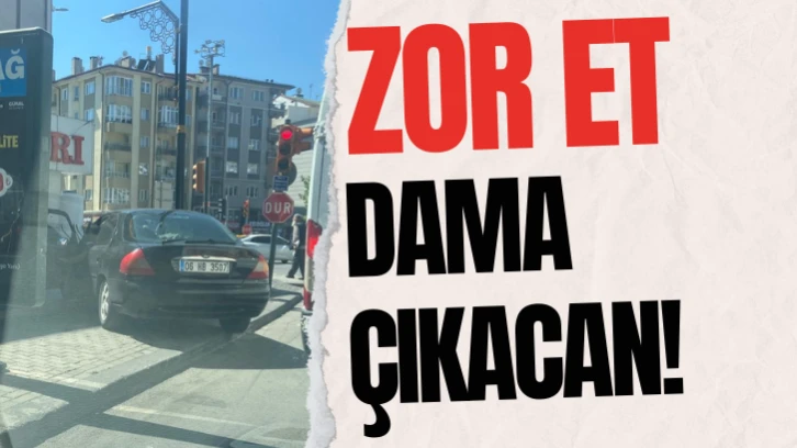 Zor Et Dama Çıkacan! 