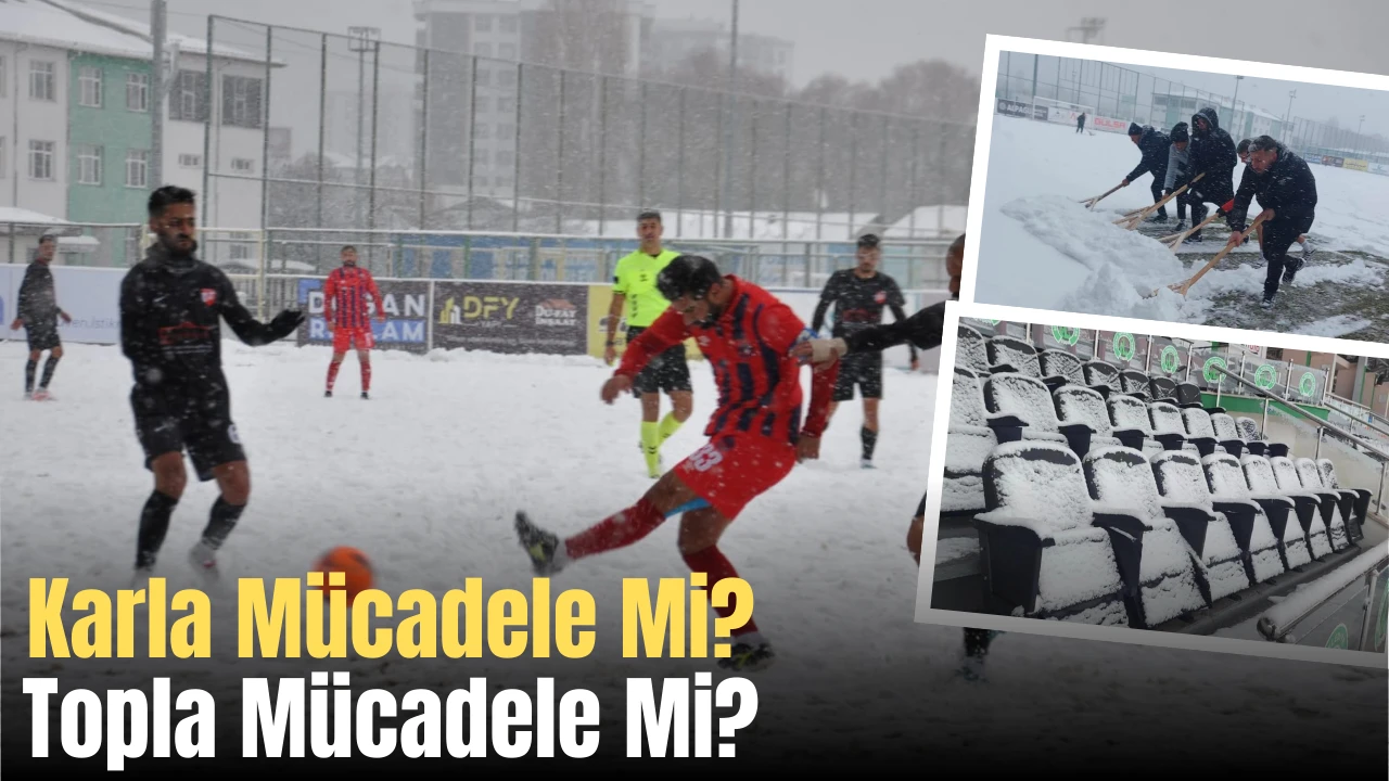 Karla Mücadele Mi? Topla Mücadele Mi?