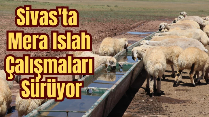 Sivas'ta Mera Islah Çalışmaları Sürüyor