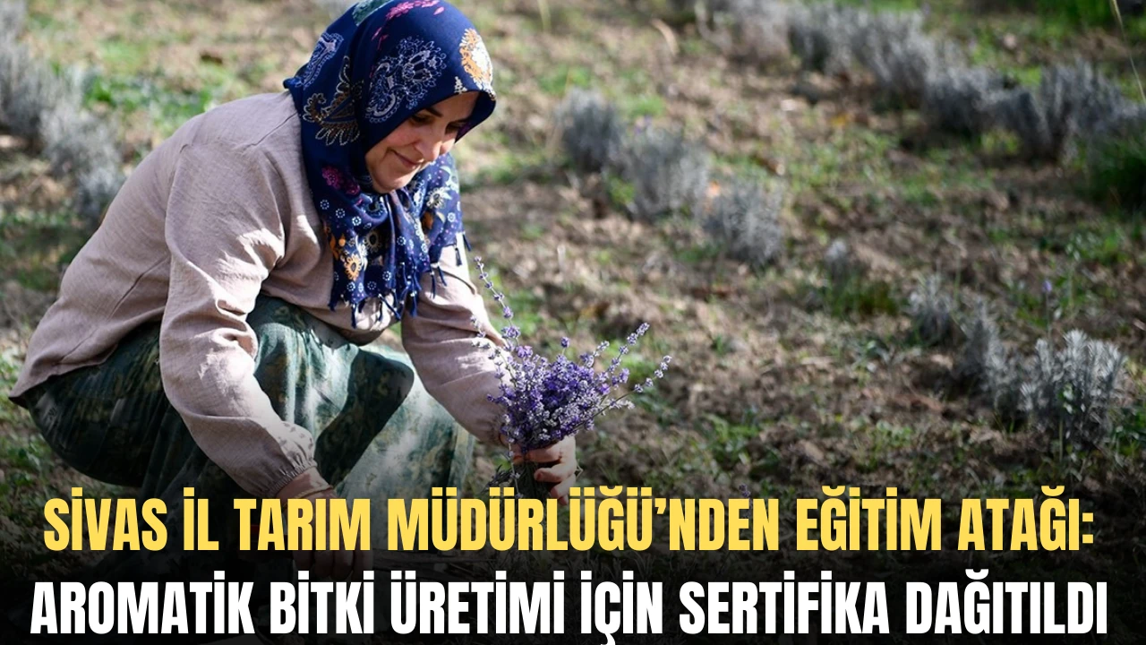 Sivas İl Tarım Müdürlüğü’nden Eğitim Atağı: Aromatik Bitki Üretimi İçin Sertifika Dağıtıldı