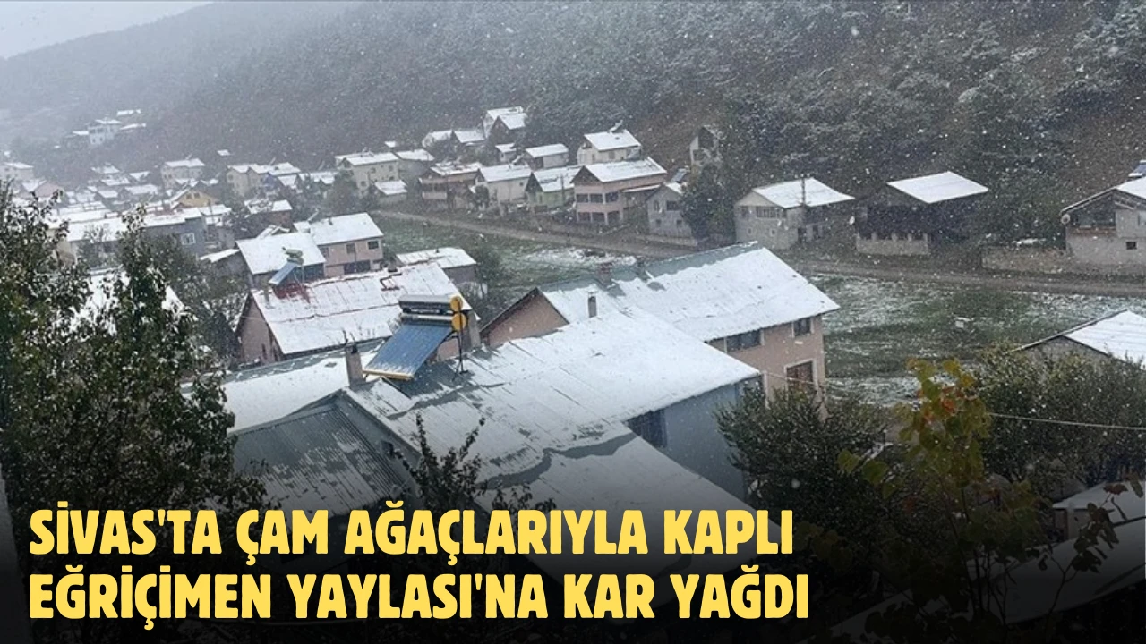 Sivas'ta Çam Ağaçlarıyla Kaplı Eğriçimen Yaylası'na Kar Yağdı