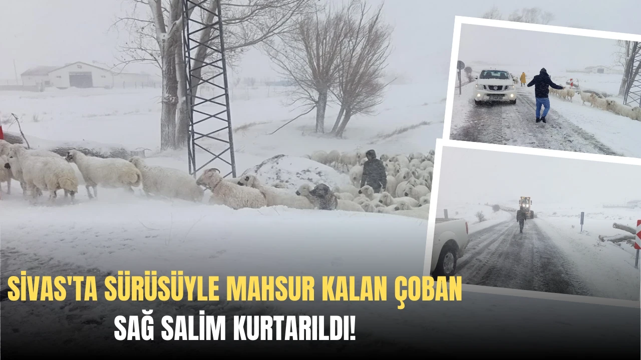 Sivas'ta Sürüsüyle Mahsur Kalan Çoban Sağ Salim Kurtarıldı! 