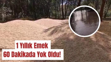 1 Yıllık Emek 60 Dakikada Yok Oldu! 