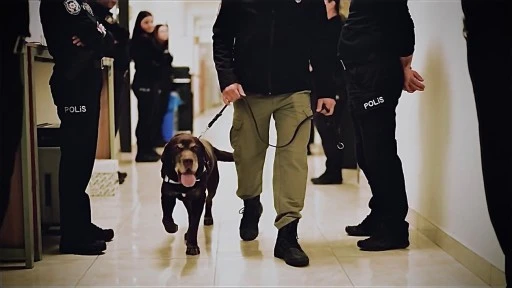  11 yıllık narkotik köpeği 'Toma', emekli oldu