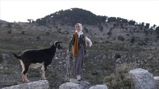 Antik kentin 45 yıllık çobanı: Yörük Fatma