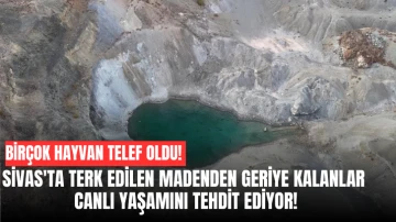 Birçok Hayvan Telef Oldu! Sivas'ta Terk Edilen Madenden Geriye Kalanlar Canlı Yaşamını Tehdit Ediyor!