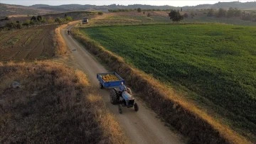 Çiftçilere Yaklaşık 1,5 Milyar Liralık Destek