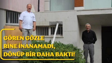 Gören Gözlerine İnanamadı, Dönüp Bir Daha Baktı! 