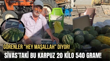 Görenler &quot;Hey Maşallah&quot; Diyor! Sivas'taki Bu Karpuz 20 Kilo 540 Gram!