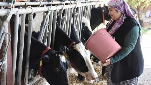 Hediye Keçiyle Hayvancılığa Başladı; Sürü Sahibi Oldu