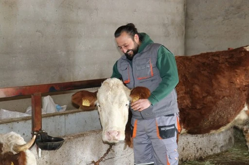 İzmir'den Memleketi Sivas'a Göçtü! Hayvancılığa Başladı