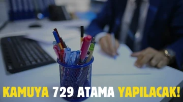 Kamuya 729 Atama Yapılacak! 