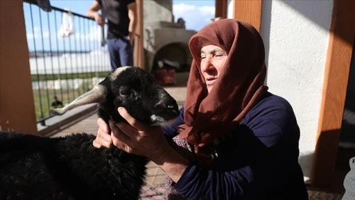 Kar Fırtınasından AFAD Ekiplerince Kurtarılan Yaşlı Kadın Kuzusuna Kavuştu