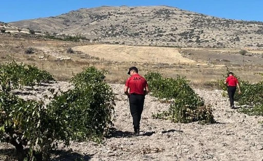 Kaybolan küçükbaş hayvanları JAK buldu