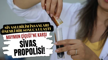 Maymun Çiçeği'ne Karşı Sivas Propolisi!