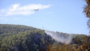 Muğla'da Çıkan Orman Yangınında 200 Hektar Alan Zarar Gördü