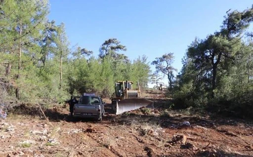 Muğla'daki orman yangını 3'üncü günde