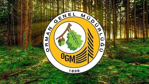 Orman Genel Müdürlüğü 252 daimi işçi istihdam edecek