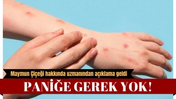 Paniğe Gerek Yok!