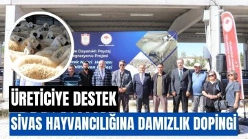 Sivas Hayvancılığına Damızlık Dopingi